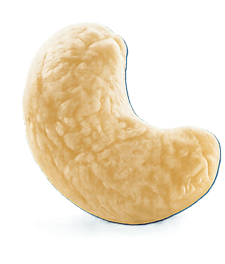 Cashew
